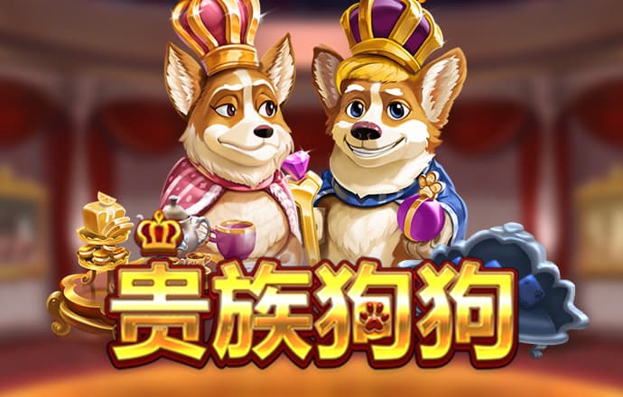 盈禾体育app官网